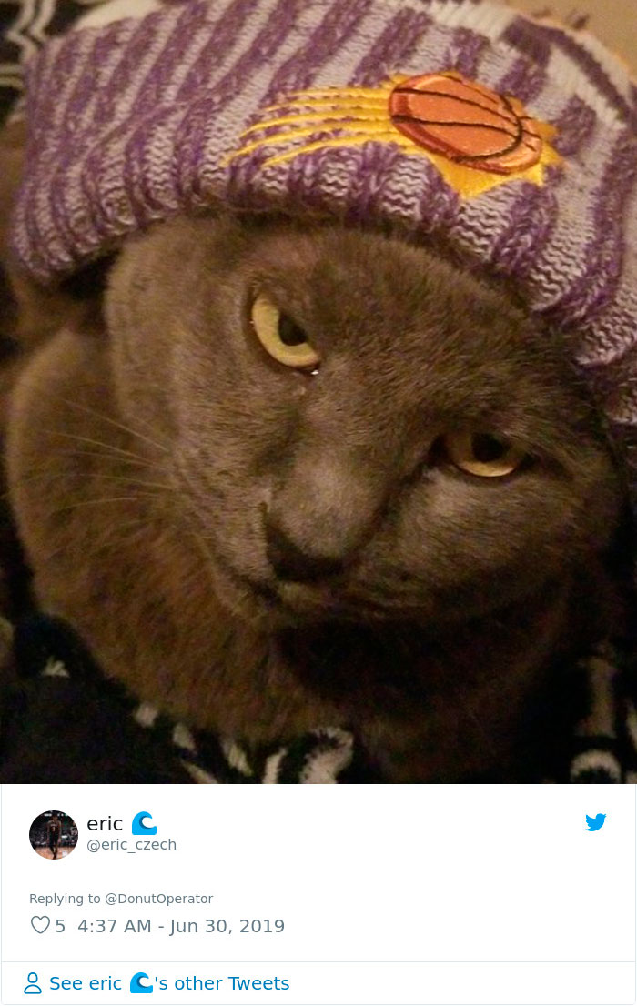 Sending-Cute-Cat-Pics-Trick