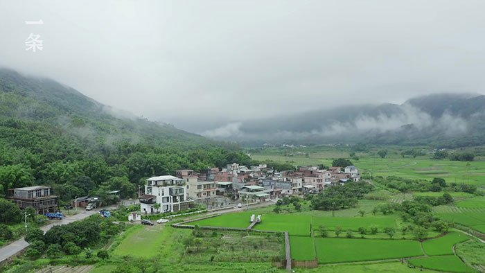 7 Girlfriends Decide To Spend The Rest Of Their Lives Together And Buy A House For $580k 7 Girlfriends Decide To Spend The Rest Of Their Lives Together And Buy A House For $580k
