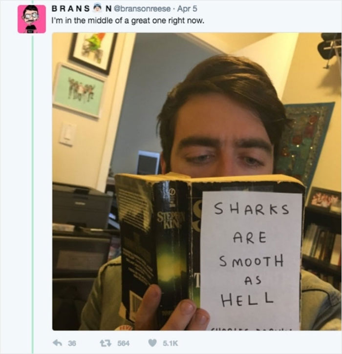 Person reading a book with a humorous cover about smooth sharks.