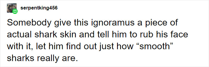A comment humorously challenges an artist about shark skin smoothness.
