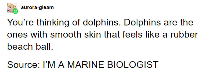 Comic comment on sharks versus dolphins by a marine biologist.