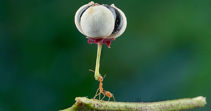 Here Are 50 Of The Best Entries From The #Small2019 Photography Contest