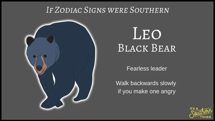 Illustration of Southern zodiac signs showing Leo as a black bear with traits from Southern zodiac descriptions.