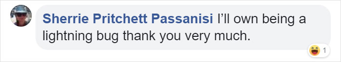 Screenshot of a Facebook comment humorously describing a southern version of zodiac signs as hilariously accurate.