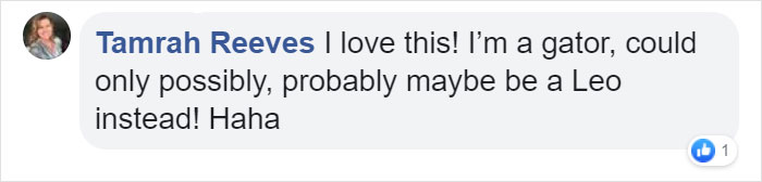 Screenshot of a Facebook comment about southern version of zodiac signs and their hilariously accurate descriptions.