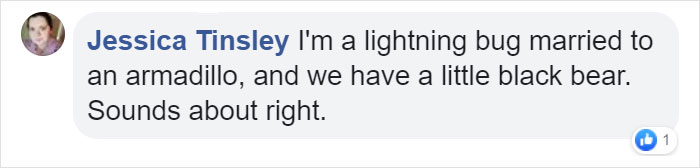 Screenshot of a Facebook comment humorously describing a Southern version of zodiac signs with accurate descriptions.