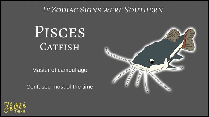 Southern zodiac sign Pisces represented by a catfish with traits of camouflage and confusion, humorous southern zodiac descriptions.
