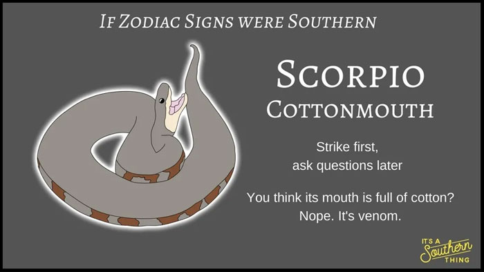 Illustration of a Southern version of Scorpio zodiac sign as a cottonmouth snake with a humorous description.