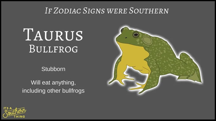 Southern zodiac signs Taurus described as a stubborn bullfrog that will eat anything including other bullfrogs