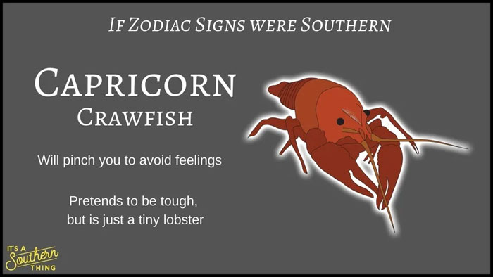 Southern version of zodiac signs featuring Capricorn as a crawfish with humorous and accurate descriptions.