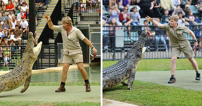 11 Pics Comparing Father And Son Irwins That Prove The Apple Does Not Fall Far From The Tree