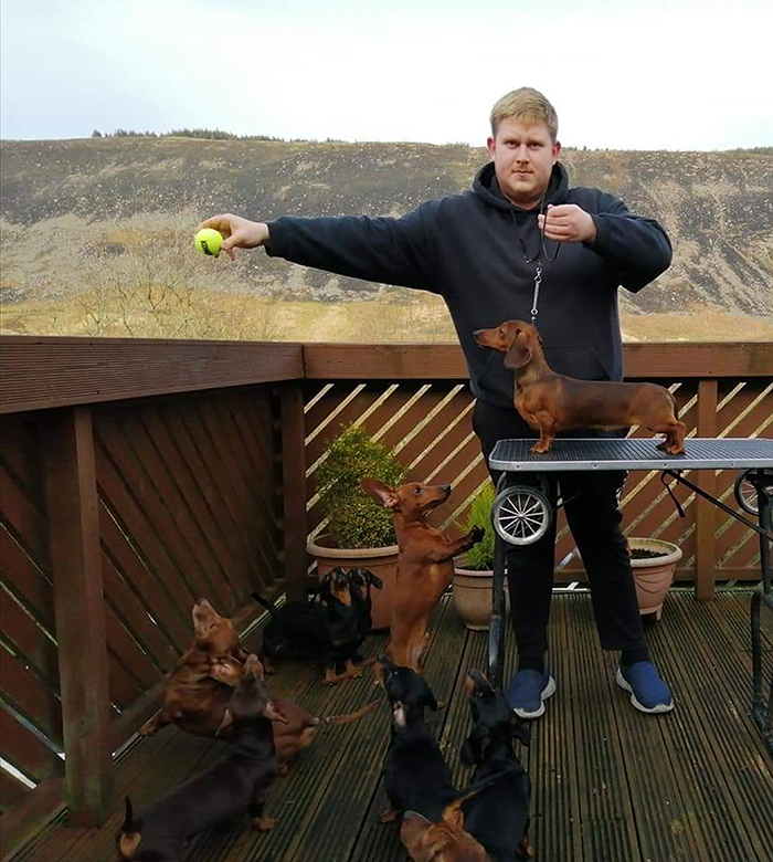 This Teenager Got A Perfect Shot Of His 16 Dachshunds After A Friend Told Him It's Impawsible This Teenager Got A Perfect Shot Of His 16 Dachshunds After A Friend Told Him It's Impawsible