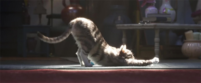 People Are Applauding Pixar For The Incredible Level Of Detail In Toy Story 4 And Here Are 29 Examples Of it People Are Applauding Pixar For The Incredible Level Of Detail In Toy Story 4 And Here Are 29 Examples Of it