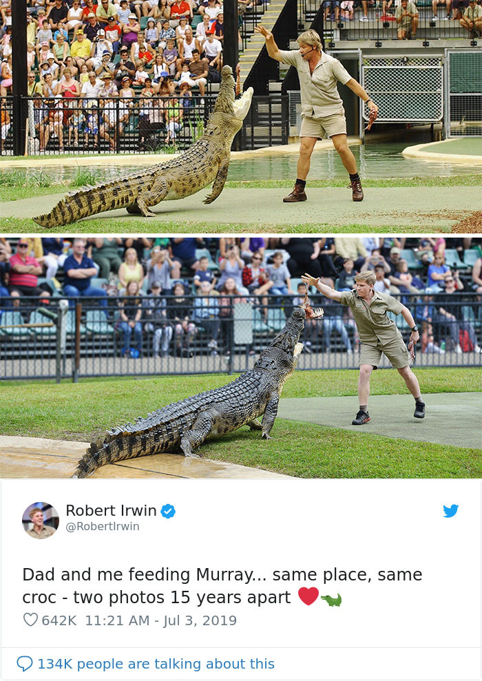 11 Pics Comparing Father And Son Irwins That Prove The Apple Does Not Fall Far From The Tree 11 Pics Comparing Father And Son Irwins That Prove The Apple Does Not Fall Far From The Tree