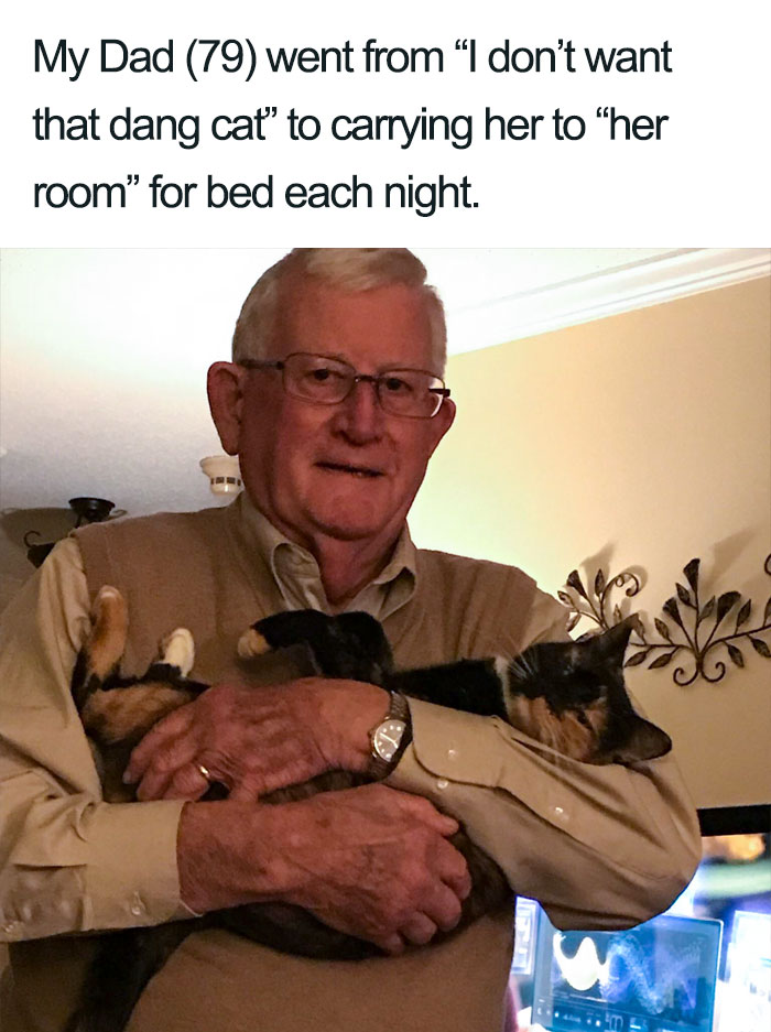 Wholesome-Cat-Posts