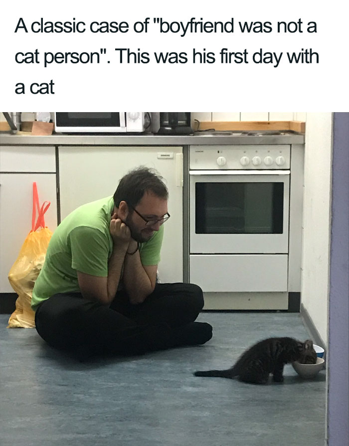 Wholesome-Cat-Posts