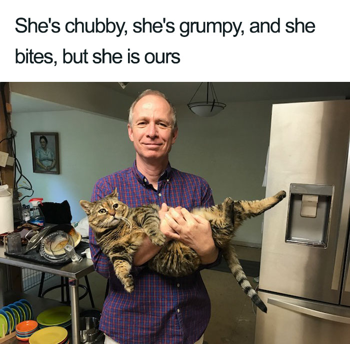 Wholesome-Cat-Posts