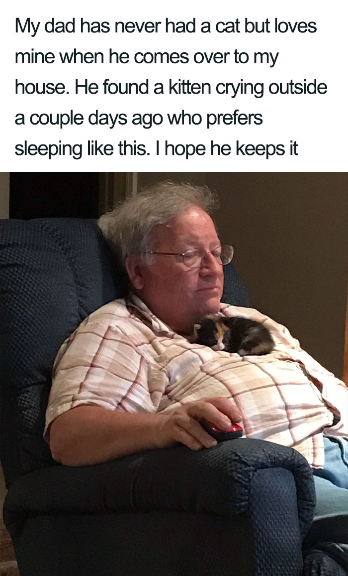 Wholesome-Cat-Posts