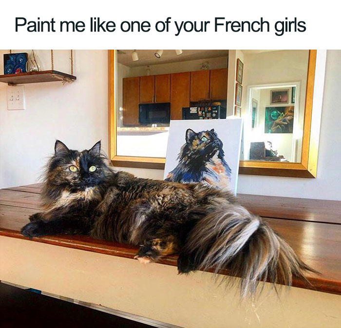 Wholesome-Cat-Posts