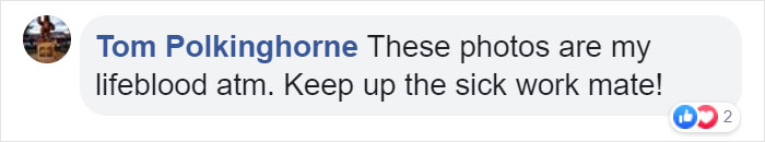 Woman Photographs Her Toad Doing Things In Her Dollhouse And People Love It (8 Pics) Woman Photographs Her Toad Doing Things In Her Dollhouse And People Love It (8 Pics)