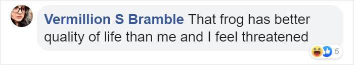 Woman Photographs Her Toad Doing Things In Her Dollhouse And People Love It (8 Pics) Woman Photographs Her Toad Doing Things In Her Dollhouse And People Love It (8 Pics)