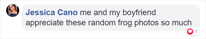 Woman Photographs Her Toad Doing Things In Her Dollhouse And People Love It (8 Pics) Woman Photographs Her Toad Doing Things In Her Dollhouse And People Love It (8 Pics)