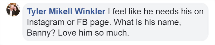 Woman Photographs Her Toad Doing Things In Her Dollhouse And People Love It (8 Pics) Woman Photographs Her Toad Doing Things In Her Dollhouse And People Love It (8 Pics)