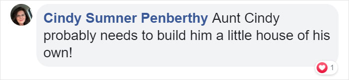 Woman Photographs Her Toad Doing Things In Her Dollhouse And People Love It (8 Pics) Woman Photographs Her Toad Doing Things In Her Dollhouse And People Love It (8 Pics)