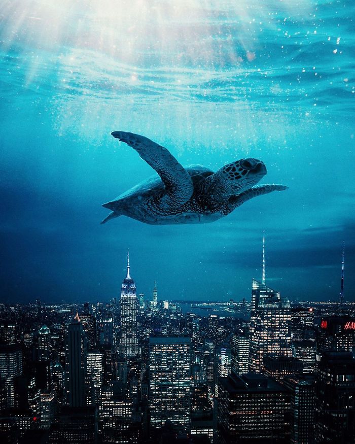 Surreal photo of a sea turtle swimming above a cityscape, creating a dreamlike atmosphere with visual metaphors.