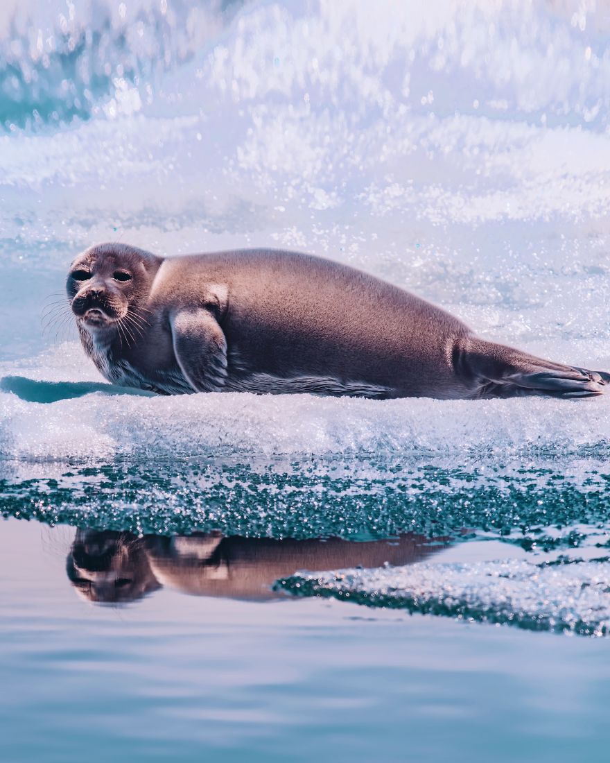 I Traveled By Ship On Lake Baikal In The Spring, And It Was Amazing