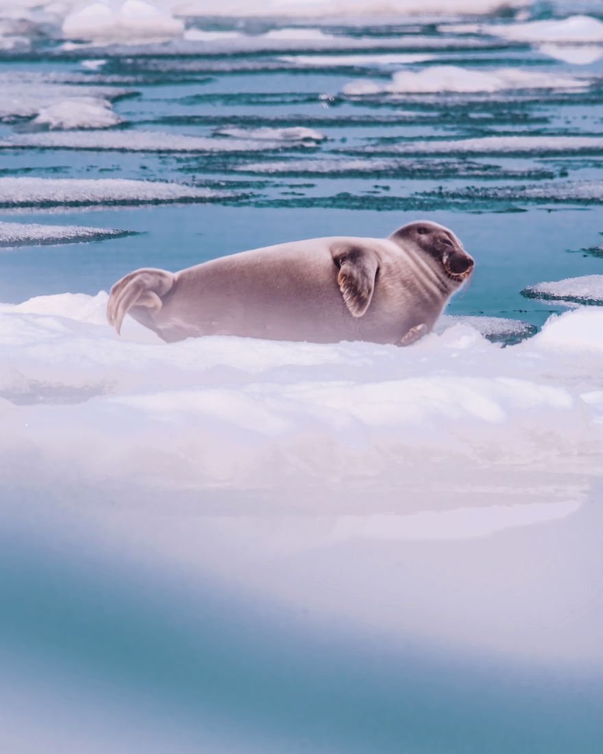 I Traveled By Ship On Lake Baikal In The Spring, And It Was Amazing