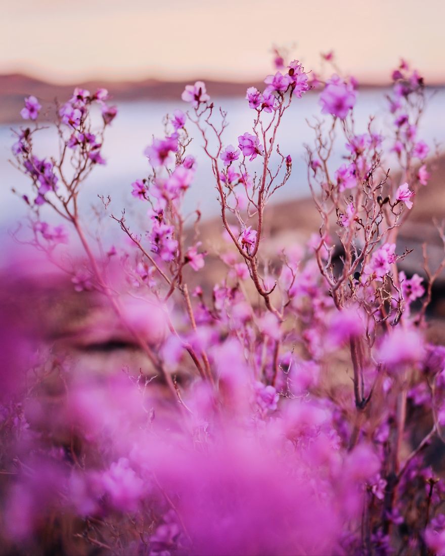 I Traveled By Ship On Lake Baikal In The Spring, And It Was Amazing