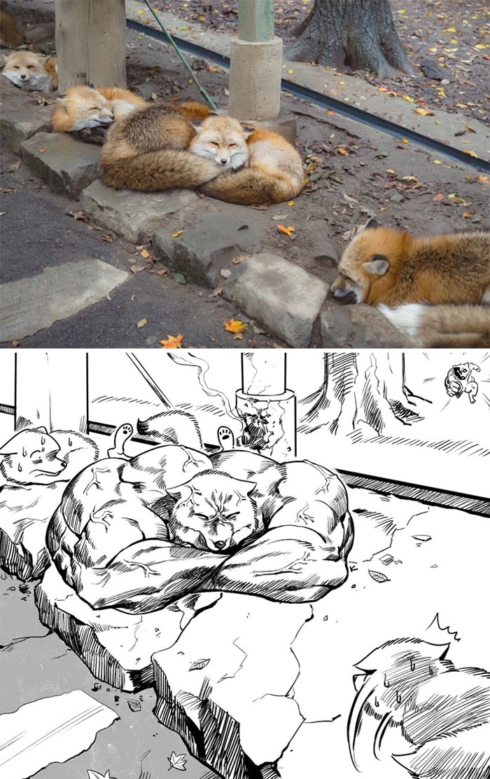 Buff Animals