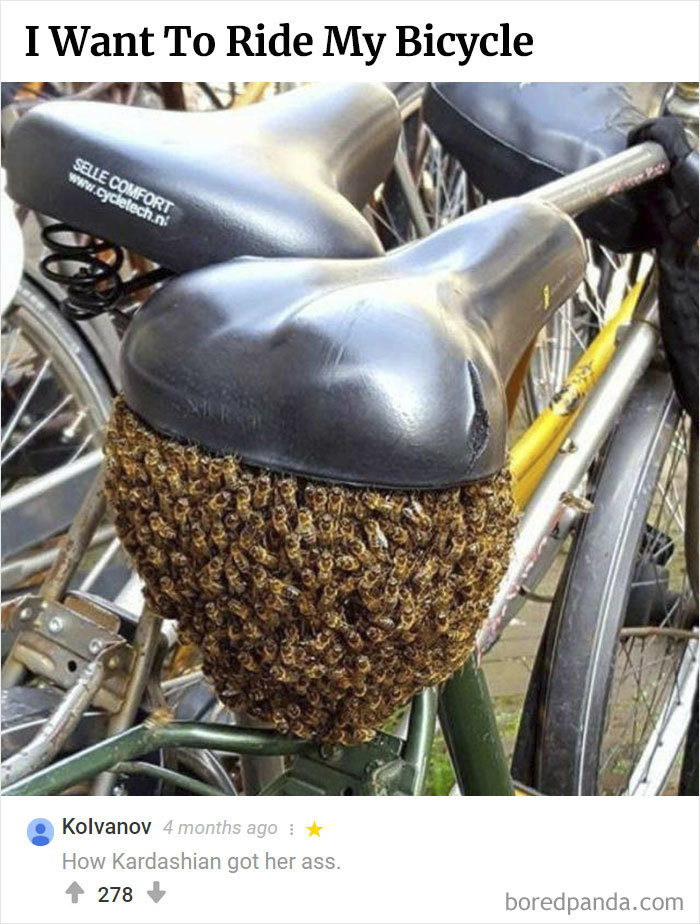 Here Is Bored Panda's Hall Of Fame With The 50 Most Hilarious Comments