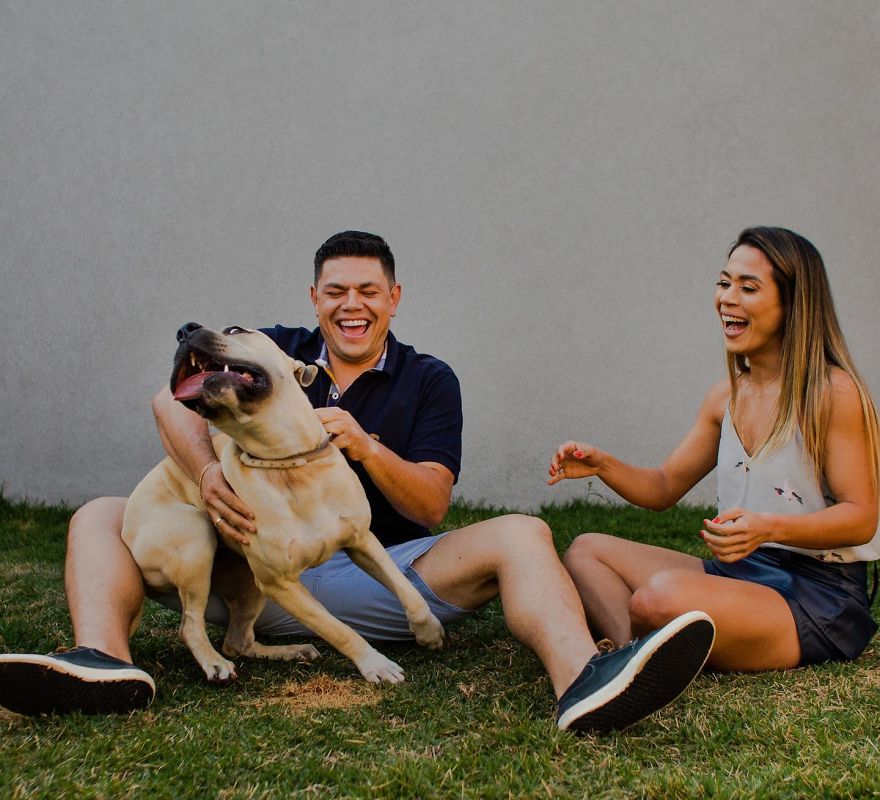 Couple Brings Their Dog To Their Pre-Wedding Photoshoot, And The Result Is Hilarious (10 Pics) Couple Brings Their Dog To Their Pre-Wedding Photoshoot, And The Result Is Hilarious (10 Pics)