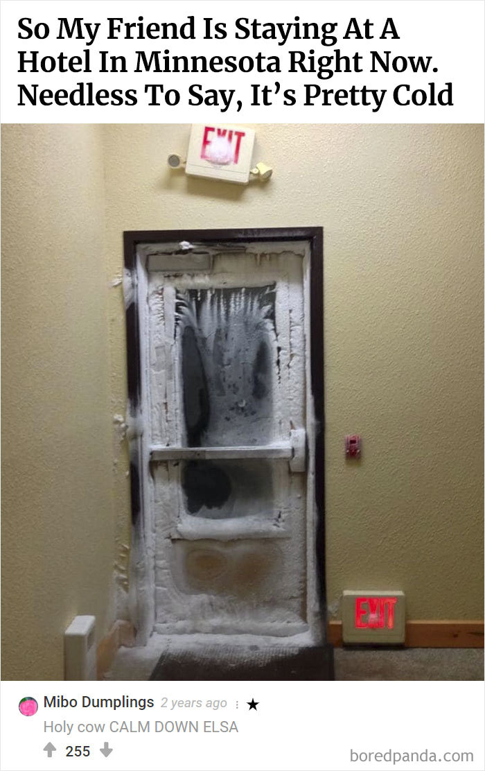 Here Is Bored Panda's Hall Of Fame With The 50 Most Hilarious Comments