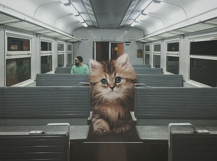 Russian-Artist-Photoshops-Giant-Cats-Odnoboko