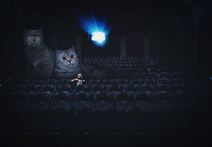 Russian-Artist-Photoshops-Giant-Cats-Odnoboko