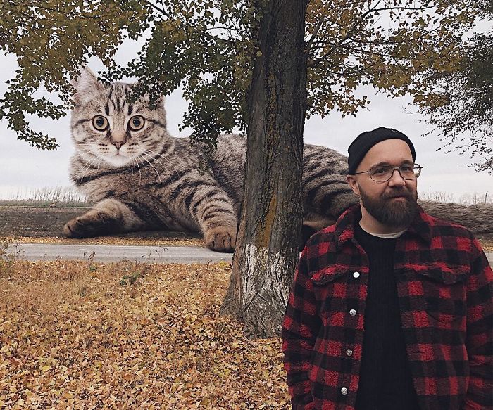Russian-Artist-Photoshops-Giant-Cats-Odnoboko