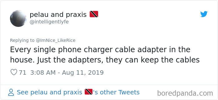 Steal-Inconvenient-Things-Tweets