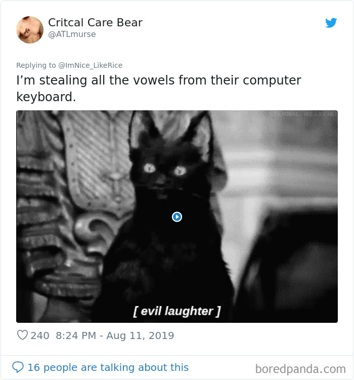 Steal-Inconvenient-Things-Tweets