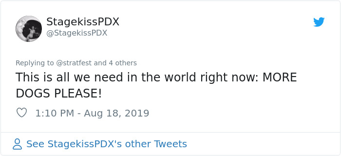 These Service Dogs Attended A Relaxed Performance Of 'Billy Elliot' To Learn How To Behave In A Theater