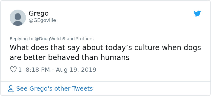 These Service Dogs Attended A Relaxed Performance Of 'Billy Elliot' To Learn How To Behave In A Theater