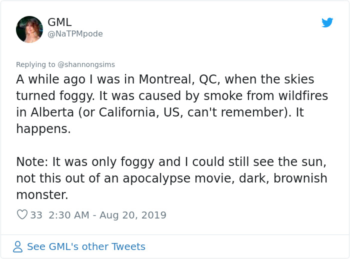 People Share Apocalyptic Photos Of Sao Paulo Which Went Pitch Black During Daytime From Amazon Fires