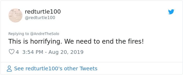 People Share Apocalyptic Photos Of Sao Paulo Which Went Pitch Black During Daytime From Amazon Fires