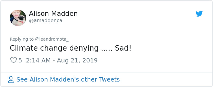 People Share Apocalyptic Photos Of Sao Paulo Which Went Pitch Black During Daytime From Amazon Fires People Share Apocalyptic Photos Of Sao Paulo Which Went Pitch Black During Daytime From Amazon Fires