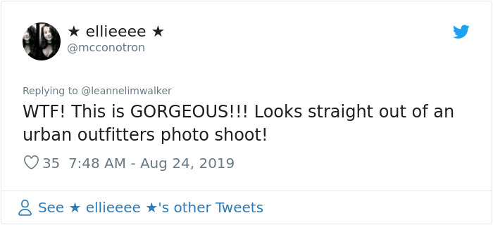 This Girl Does An Extreme Guest Room Makeover In 5 Days And The Internet Is In Love This Girl Does An Extreme Guest Room Makeover In 5 Days And The Internet Is In Love