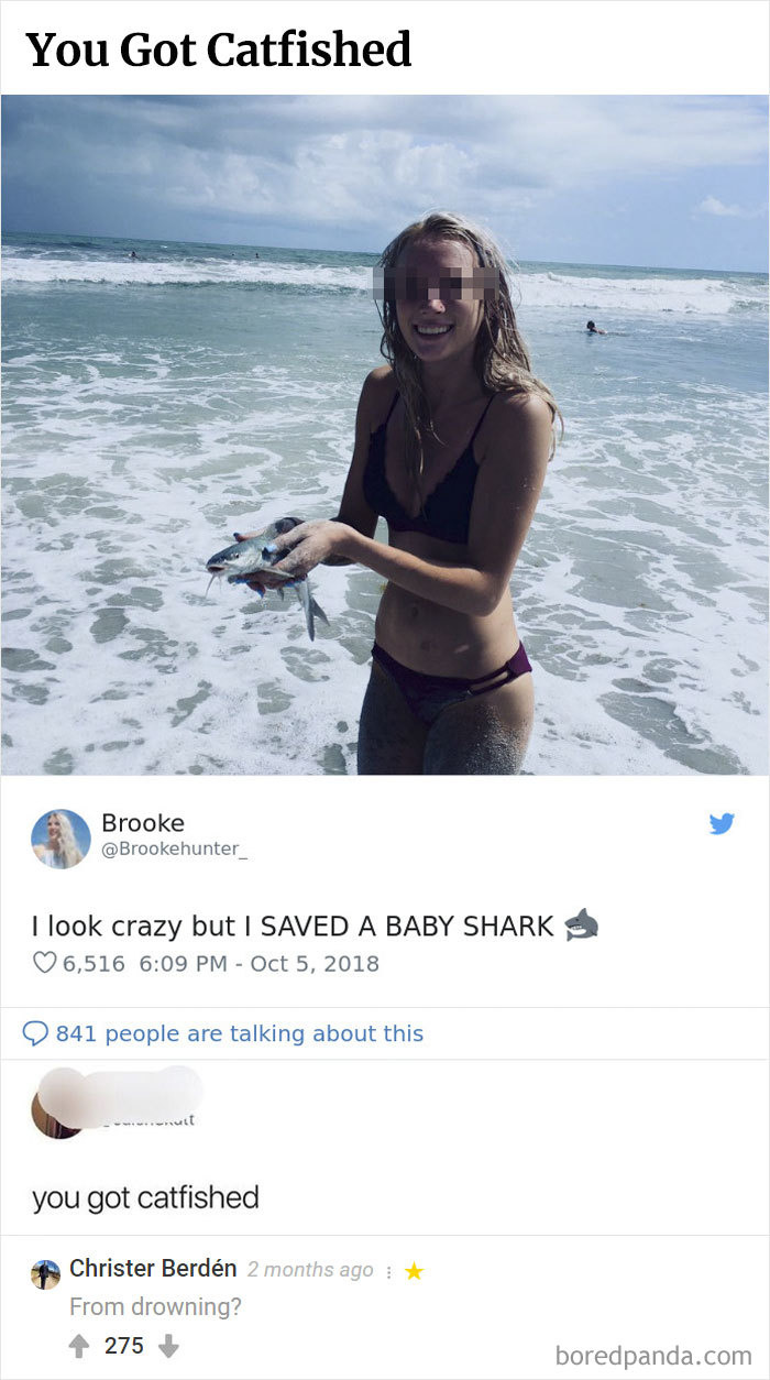 Here Is Bored Panda's Hall Of Fame With The 50 Most Hilarious Comments