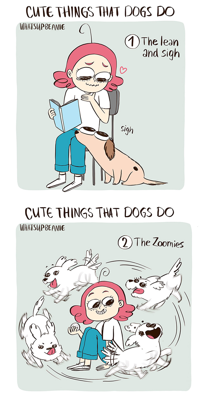 My 13 Wholesome Comics About Cats And Dogs My 13 Wholesome Comics About Cats And Dogs