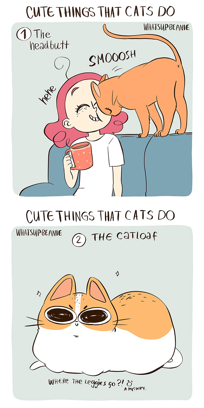My 13 Wholesome Comics About Cats And Dogs My 13 Wholesome Comics About Cats And Dogs